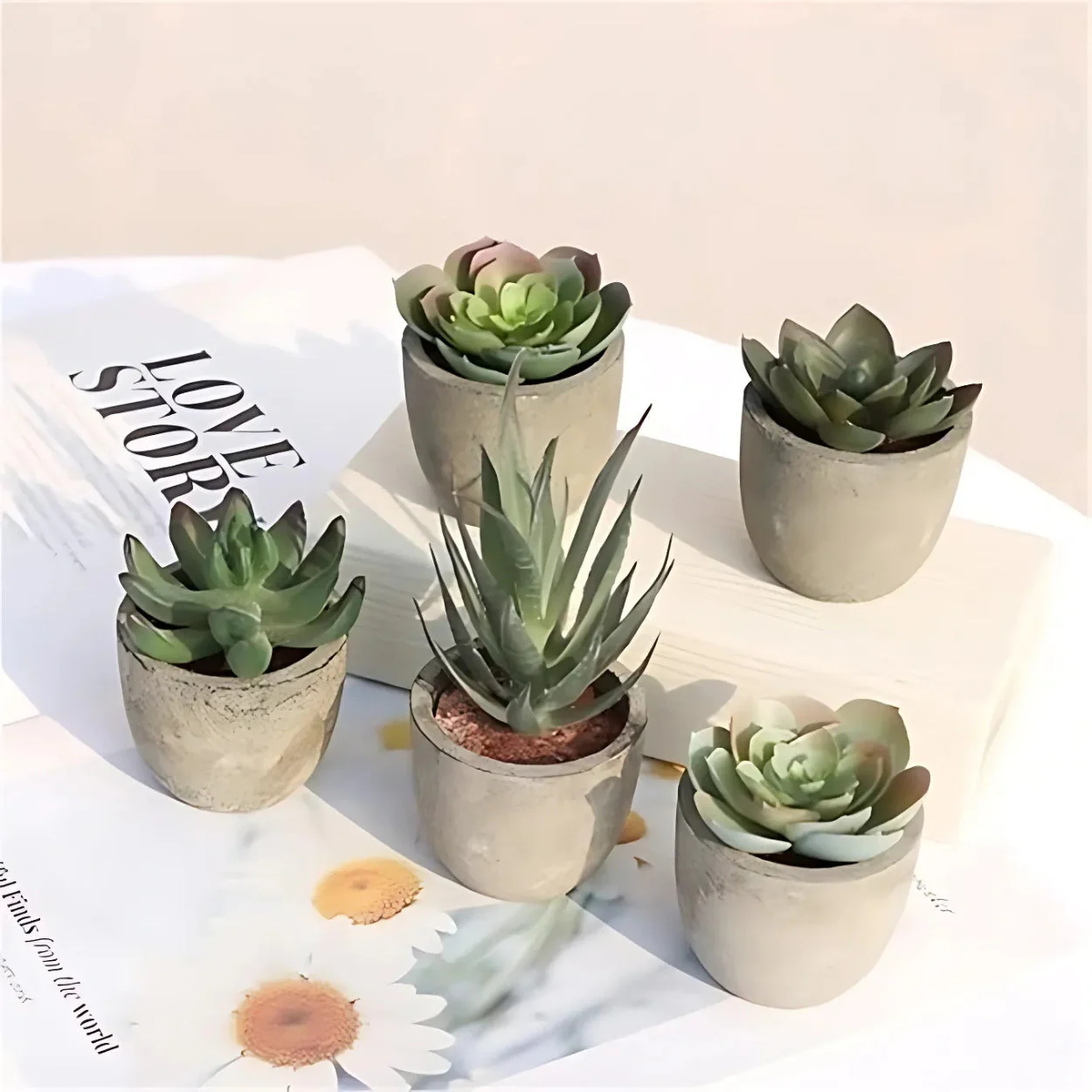 Verdea Artificial Succulent Plant Decor - Image 4