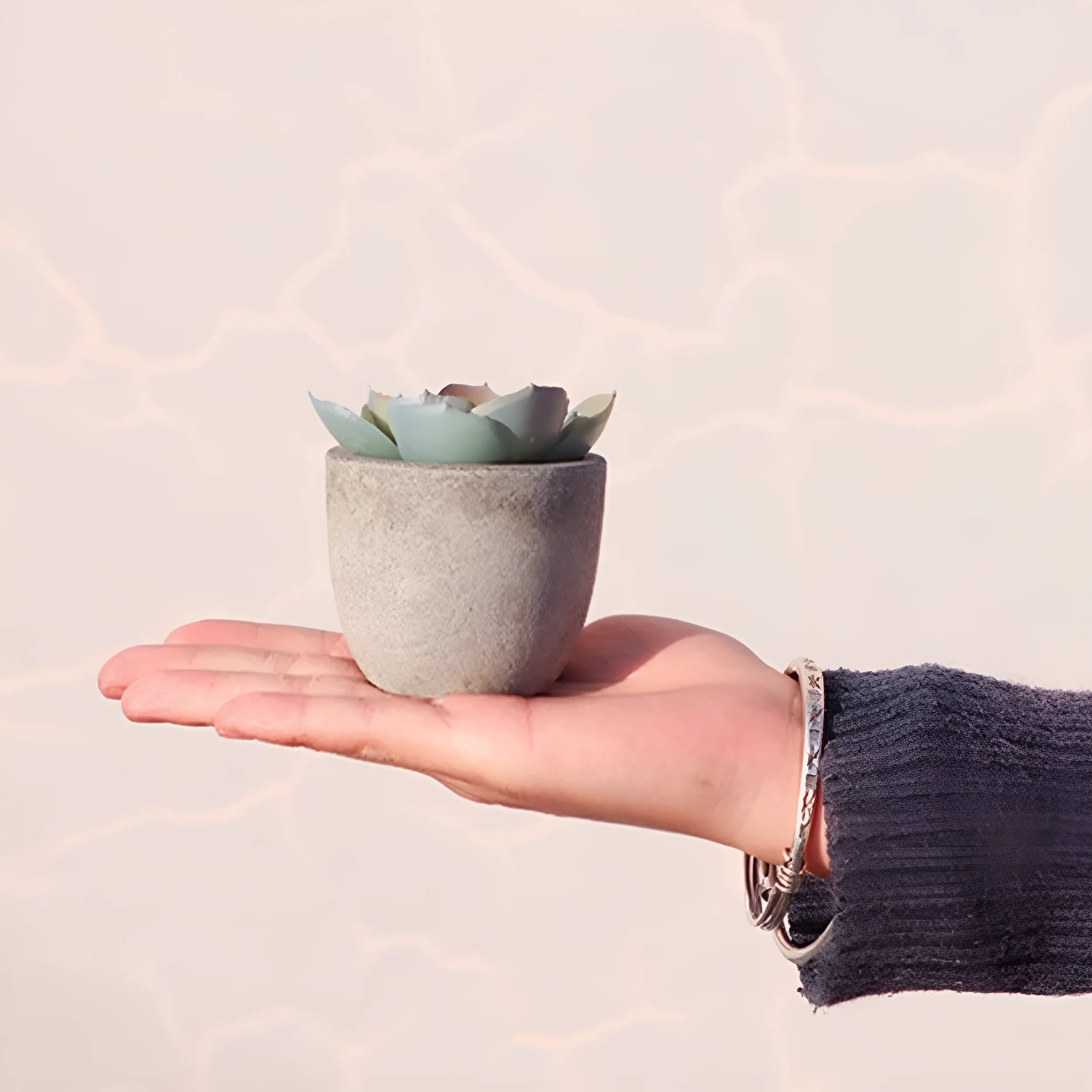 Verdea Artificial Succulent Plant Decor - Image 6