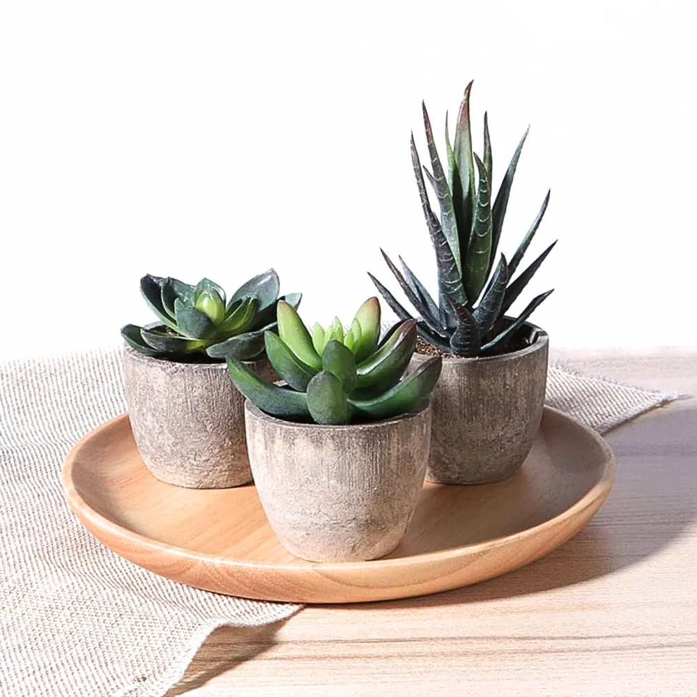 Verdea Artificial Succulent Plant Decor - Image 7