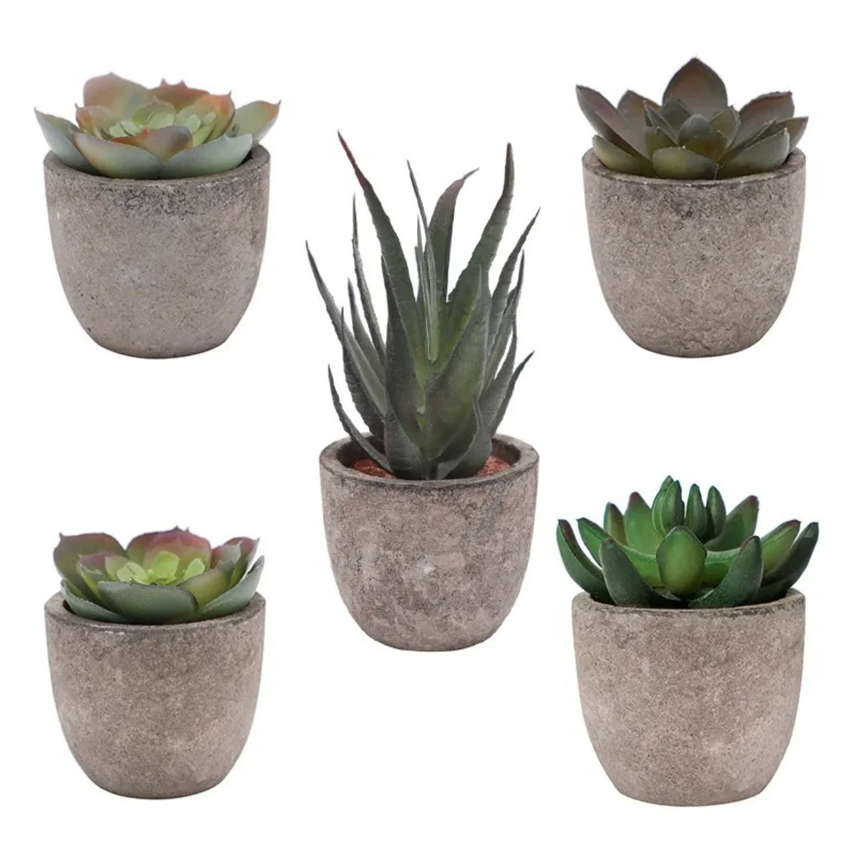 Verdea Artificial Succulent Plant Decor - Image 9